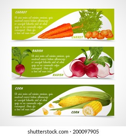 Vegetable organic food realistic carrot radish and corn horizontal banners set isolated vector illustration