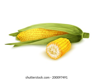 Vegetable organic food realistic yellow corn stalk isolated on white background vector illustration