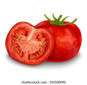 Vegetable organic food ripe tomato cut with seeds isolated on white background vector illustration