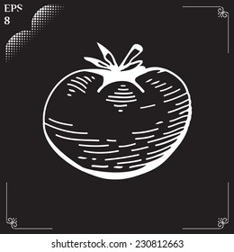 Vegetable organic food tomato. Vector Illustration tomato drawn in chalk. Tomato cartoon  illustration. Illustration of engraving tomato on black background. Eps 8