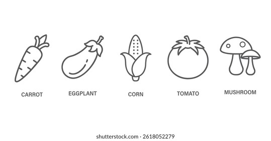 Vegetable outline icons. Vegetable Stroke icon collections. Carrot, eggplant, corn etc. Outline icon sets.	