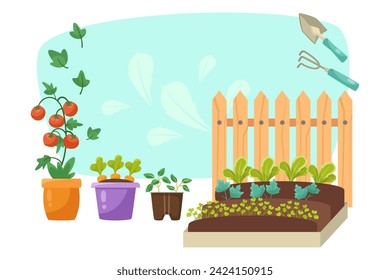 Vegetable patch with shovel and rake vector illustration. Tomatoes, carrots seedlings in pots. Springtime gardening concept