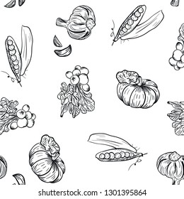 Vegetable pattern hand drawing in doodle style on white background. Doodle drawing vegetable pattern. Ripe autumn crop and farming harvest. Market garden background