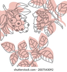 Vegetable pattern for textiles berries, leaves, patterns.