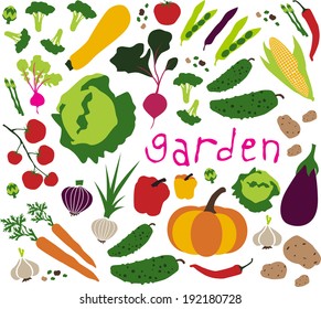 vegetable pattern. vector illustration