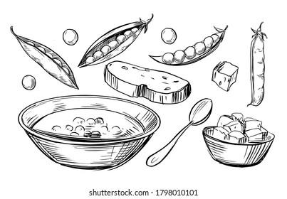 Vegetable pea soup. Hand drawn illustration converted to vector