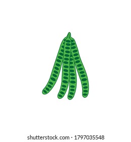 símbolo del vector del icono de Petai vegetal ilustración aislada fondo blanco
