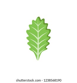 Vegetable piece. Leaf of salad on white background. Vector illustration.