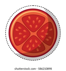 vegetable pizza ingredient icon