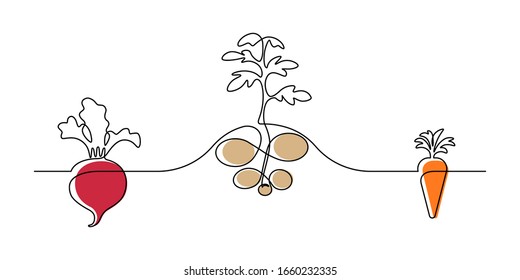 Vegetable Plants Design In Continuous Line Art Drawing Style. Growing Of Root Vegetables On Garden Plot. Vector Illustration