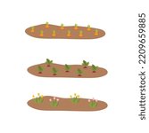 Vegetable plots with different root vegetables. Gardening, spring seedlings, cultivation of vegetables.Vector illustration in flat design