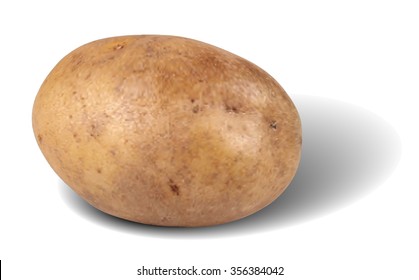 Vegetable potato isolated on a white background. Vector illustration.