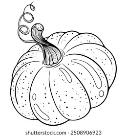 Vegetable pumpkin with dry tail close-up. Autumn harvest, Thanksgiving symbol. Ripe squash. Vector illustration in hand drawn sketch doodle style. Line art isolated on white for coloring book, print