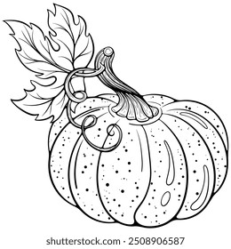 Calabaza vegetal con primer plano de hoja. Cosecha de otoño, símbolo de Acción de Gracias. Ilustración vectorial en estilo doodle de boceto dibujado a mano. Arte de línea aislado en blanco para colorear libro, impresión