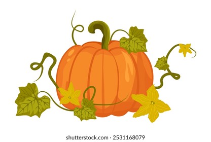 Vegetable pumpkin with leaves and yellow flowers. Vector. Autumn composition for Halloween or Thanksgiving. Flat design. Orange silhouette of pumpkin on white background.