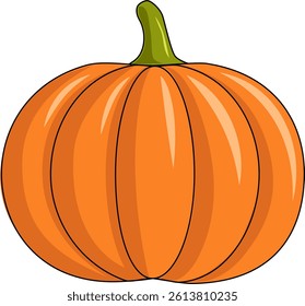 Vegetable pumpkin on white background. Vector.