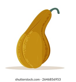 Vegetable pumpkin. Vector. Autumn pumpkin symbol for Halloween or Thanksgiving. Flat design. Orange pumpkin on white background.