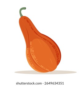 Vegetable pumpkin. Vector. Autumn pumpkin symbol for Halloween or Thanksgiving. Flat design. Orange pumpkin on white background.