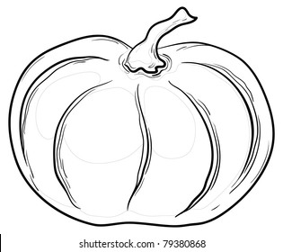 Vegetable, pumpkin, vector, monochrome graphic contours on white background