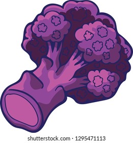 Vegetable - Purple Cauliflower