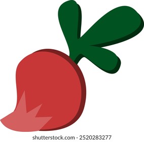 ilustração de rabanete vegetal em vetor.