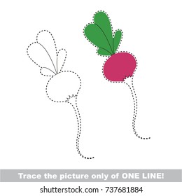 Vegetable Root Radish to be traced only of one line, the tracing educational game to preschool kids with easy game level, the colorful and colorless version.