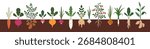 Vegetable roots in soil, underground. Farm crops, agriculture harvest, food plants growing under ground. Field carrot, beet, potato in garden bed. Flat vector illustration isolated on white background