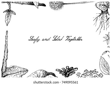 Vegetable Salad, Illustration Frame of Hand Drawn Sketch Delicious Fresh Green Leafy and Salad Vegetable Isolated on White Background.
