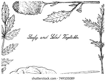 Vegetable Salad, Illustration Frame of Hand Drawn Sketch Delicious Fresh Green Leafy and Salad Vegetable Isolated on White Background.
