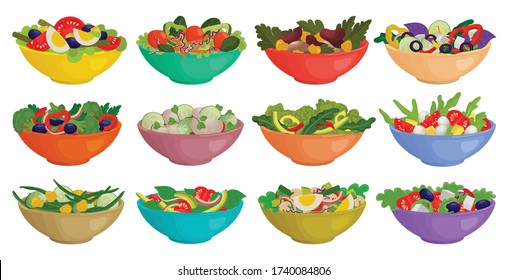 Vegetable salad isolated cartoon set icon. Cartoon vector set icon bowl lettuce. Vector illustration vegetable salad on white background.
