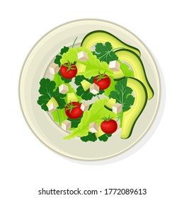 Vegetable Salad with Lettuce and Soft Cheese Vector Illustration