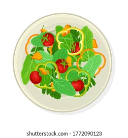 Vegetable Salad with Spinach and Bell Pepper Vector Illustration