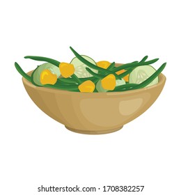 Vegetable salad vector icon.Cartoon vector icon isolated on white background vegetable salad.