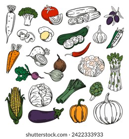 Vegetable seamless pattern. Set with vegetables. Background illustration with vegetables.