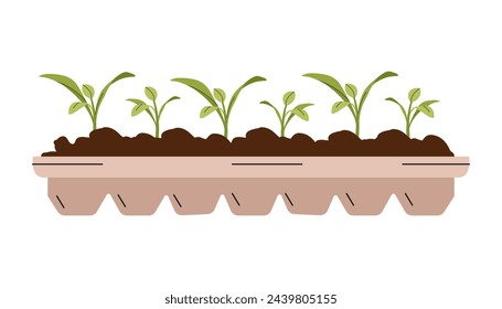 Vegetable seedlings growing at soil in pot. Green sprouts of plant. Gardening outdoor. Young seedling in ground. Caring for nature and ecology. Sustainable natural resources. Vector flat illustration.