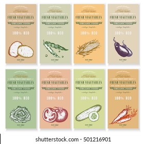 Vegetable seeds packets template. Vector hand drawn ink sketch vegetable banners set. Eco vintage foods. 