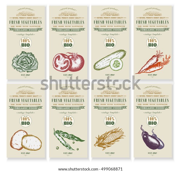 Vegetable seeds packets template. Vintage hand\
drawn vector vegetables\
banners