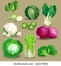 Vegetable set with broccoli, kohlrabi and other different cabbages
