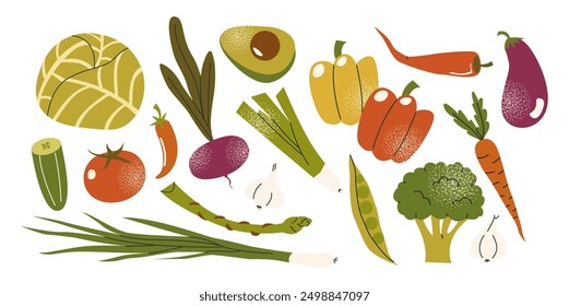 Conjunto de vegetales: repollo, tomate, aguacate, res, apio, zanahorias, pimienta. Productos de granja vegetariana del jardín dibujados a mano en estilo doodle de dibujos animados