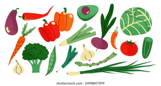 Conjunto de vegetales: repollo, tomate, aguacate, res, apio, zanahorias, pimienta. Productos de granja vegetariana del jardín dibujados a mano en estilo doodle de dibujos animados