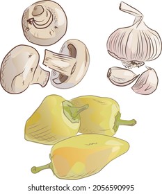 Pflanzensatz: Champignon, Knoblauch und Pfeffer. handgezeichnete Vektorgrafik