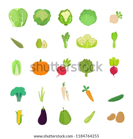 vegetable set collection vector illustration