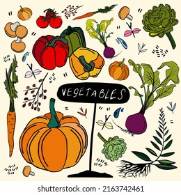 vegetable set. colored vegetables. Harvesting