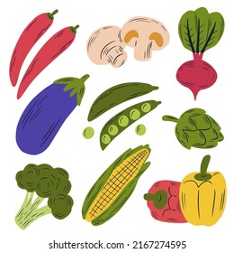 Vegetable set. Cute colorful vector illustrations isolated on white