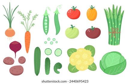 vegetable set, farm product for restaurant menu, market label. Vector Illustration for backgrounds and packaging. Image can be used for cards, posters and stickers. Isolated on white background.