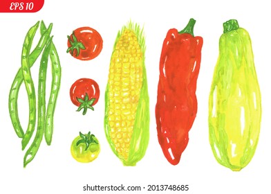 Vegetable set, green peas, red and yellow tomatoes, corn, pepper, zucchini isolated on a white background. Vector illustration.
