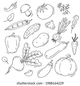 Vegetable set. Healthy diet. Vitamins. Vegetarian food. Eco. Harvest from the garden. Doodle. Vector. Hand-drawn illustration. Silhouette. Black and white outline. Coloring.