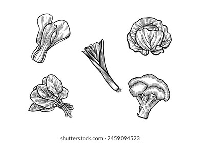 vegetable set illustration in black and white