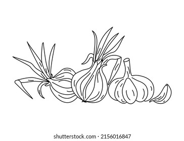 Vegetable set, onion and garlic  in doodle style. Vitamin , Natural vegetarian food. Vector monochrome illustration isolated on background.