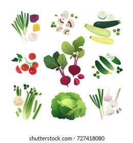 Vegetable set of onion, mushroom, zucchini, tomato, beetroot, cucumbers, celery, green cabbage and garlic